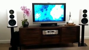 WHARFEDALE EVO 4.2. Отзыв заказчика из Лондона