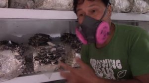 She Quit Her Job to Start a Mushroom Farm & Makes $200,000 a Year