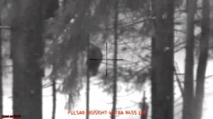 Приобрел прицел Pulsar Digisight Ultra N 455 LRF.