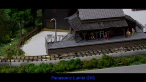 Autofocus Comparison, Canon 70D vs Panasonic Lumix GH3