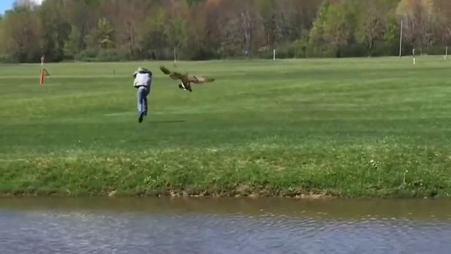 ВЕРБЛЮД УКУСИЛ ДЕВУШКУ смотреть онлайн