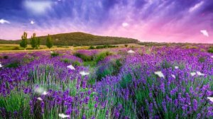 Невероятно красивая музыка Сергея Чекалина. Пейзаж.Чекалин