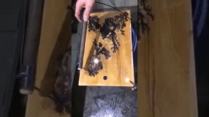 Узоры молнии своими руками из соды и микроволновки фигуры лихтенберга