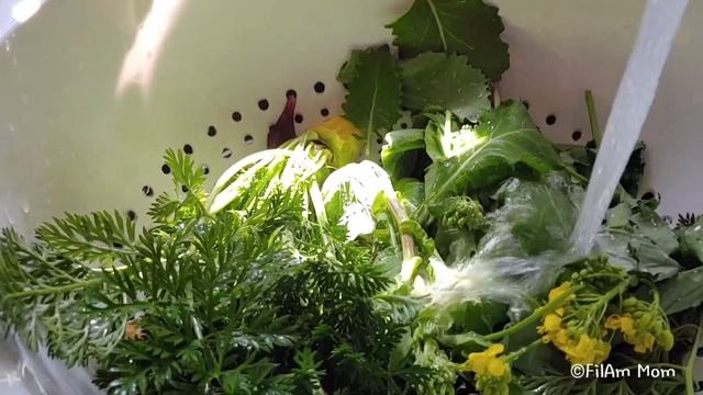 Harvesting & Cooking Raab Broccoli : Vegestable Soup Recipe смотреть онлайн