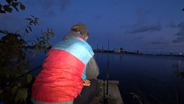 Осенний клев судака. Ночная вылазка на реку. RIVER FISHING Zander . #судак смотреть онлайн