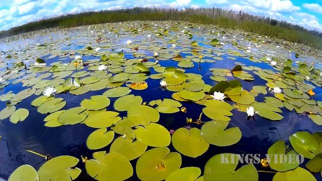 остров Хортица. Шок! какая природа может быть в Запорожье несмотря на заводы. Достопримечательности смотреть онлайн