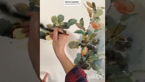 Рябина, акварель. Ласаева Марина #акварель #watercolor
