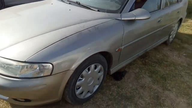 Мошин бозор пайшанбе н Ёвон