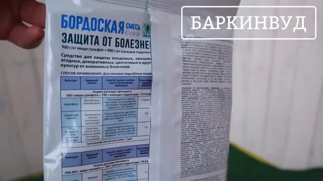 Средство защиты от болезней Бордоская смесь 100 г [ОБЗОР]