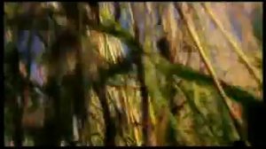 АлисА - Веретено