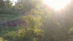 Покровск (Красноармейск) 24.05 Полиция просит отнестись с пониманием