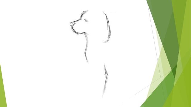 Поэтапное рисование ЩЕНКА в старшем возрасте смотреть онлайн