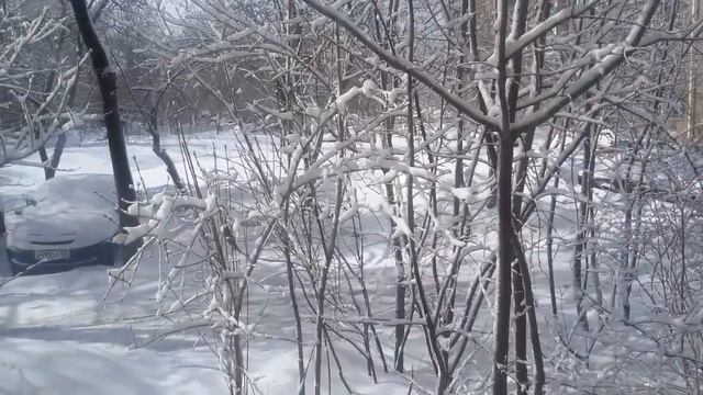 30 марта 2017/Зима пришла/Уфа/ смотреть онлайн