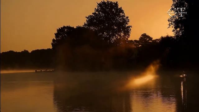 В эту магическую ночь Вам буду сниться прекрасные сны. смотреть онлайн