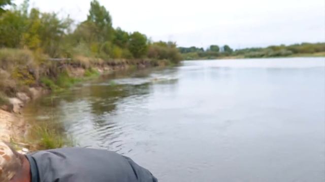 Рыбалка на Березине. Ловля в проводку на улитку. Светлогорск