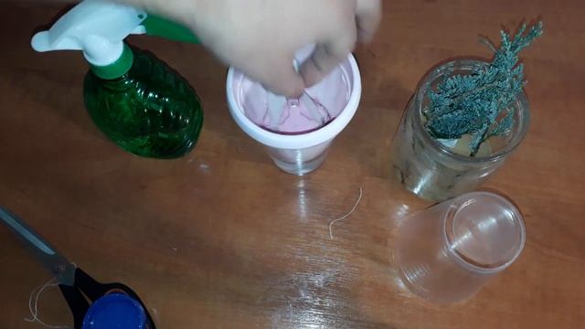 Укоренение. Черенкование. Размножение - 100 % способ.