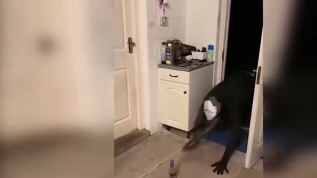 Страшна вырубай смотреть онлайн