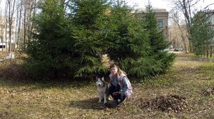 Урок 1. Как наладить контакт с вашей собакой