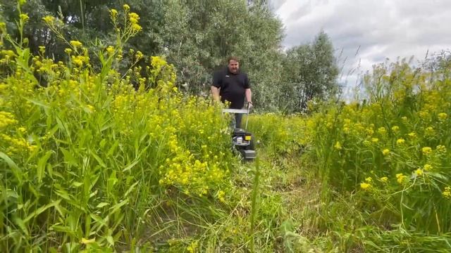 Для ГАЗОНА и не ТОЛЬКО!Косилка для высокой травы Caiman Pampa 60C #gardening #садоваятехника#тримме