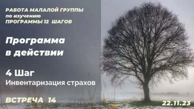 Встреча 14 Малой группы по 12 Шагам АА. 4 Шаг (Инвентаризация страхов)