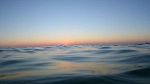 NEMIGA - Целуй руками. обожаю стихи в песнях)) до мурашек🤫