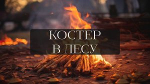 ЗВУКИ ПРИРОДЫ 004. Костер в лесу 🔥