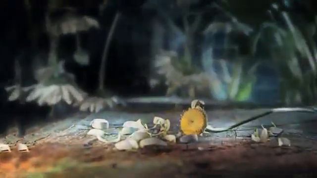 Гадание на ромашке Гитара плач смотреть онлайн