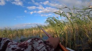 Рука устала тягать карасей!!!!Утрений клёв карася!!!!