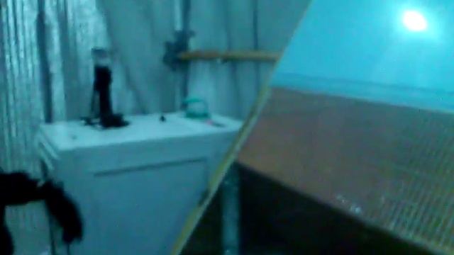 брудер для перепел своими руками