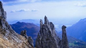 Atis Freivalds. Above the Light