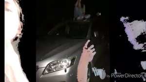 Хабаровские живодёрки