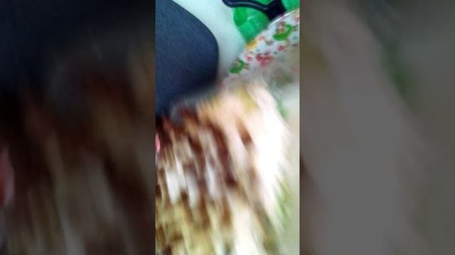 Ваня готовится ко дню рождения сестрички смотреть онлайн