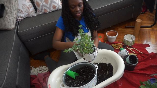Let's Repot Some Plants!!!!! | March 2019 Repotting смотреть онлайн