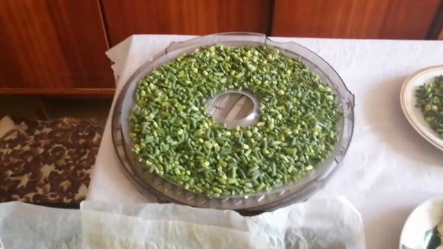 Чесночные стрелки - вкусная приправа!