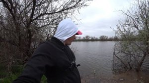 Рыбалка весной в Волгоградской области. Половодье. Караси.