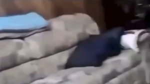 Ну сам ведь напросился