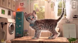 Веселая игра по уходу за домашними животными - приключения маленького котенка - игра с костюмирован