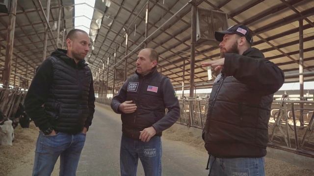 ФЕРМА КРС по технологии США. Увеличили надой на 10 тонн.