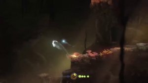 ONE LIFE MODE | Ori and the Blind Forest: Definitive Edition