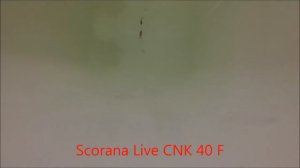 Крэнки SCORANA HORNET 50F, X-SHAD 70F, LIVE CNK 40F