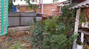 Краснодарский край белоглинский район, п центральный