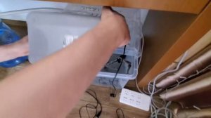 Клариевый сом. Часть #1.  Выращивание в Китае.