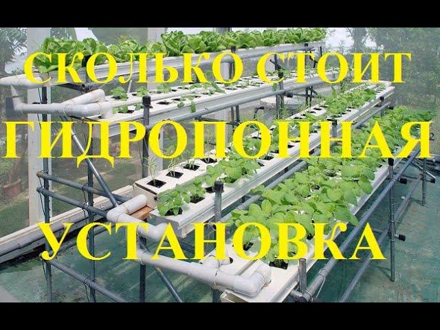 Сколько стоит многоярусная гидропонная установка для клубники? Как и из чего ее построить?