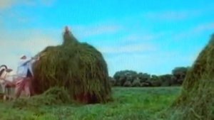 Русское поле , Ян Френкель,