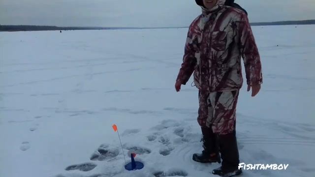 Жерлицы на котовском ВДНХ.Ловим щук. Рыбалка в Тамбове и области.