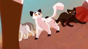 СОЛ - ГЕНИЙ? КОТЫ-ВОИТЕЛИ