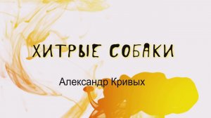 Хитрые собаки