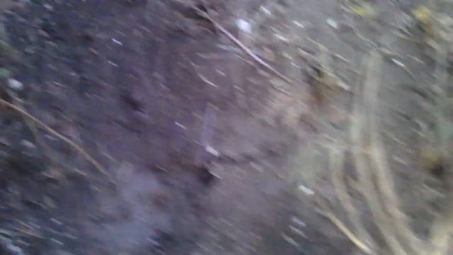 #дома_цветы#