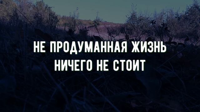 Как же мудро сказано! Мудрые цитаты, открывающие глаза на жизнь