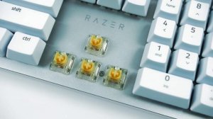 RAZER PRO TYPE ULTRA | Краткий обзор
